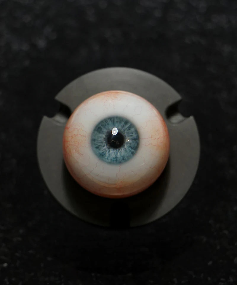 Eyes (Realistic Human)