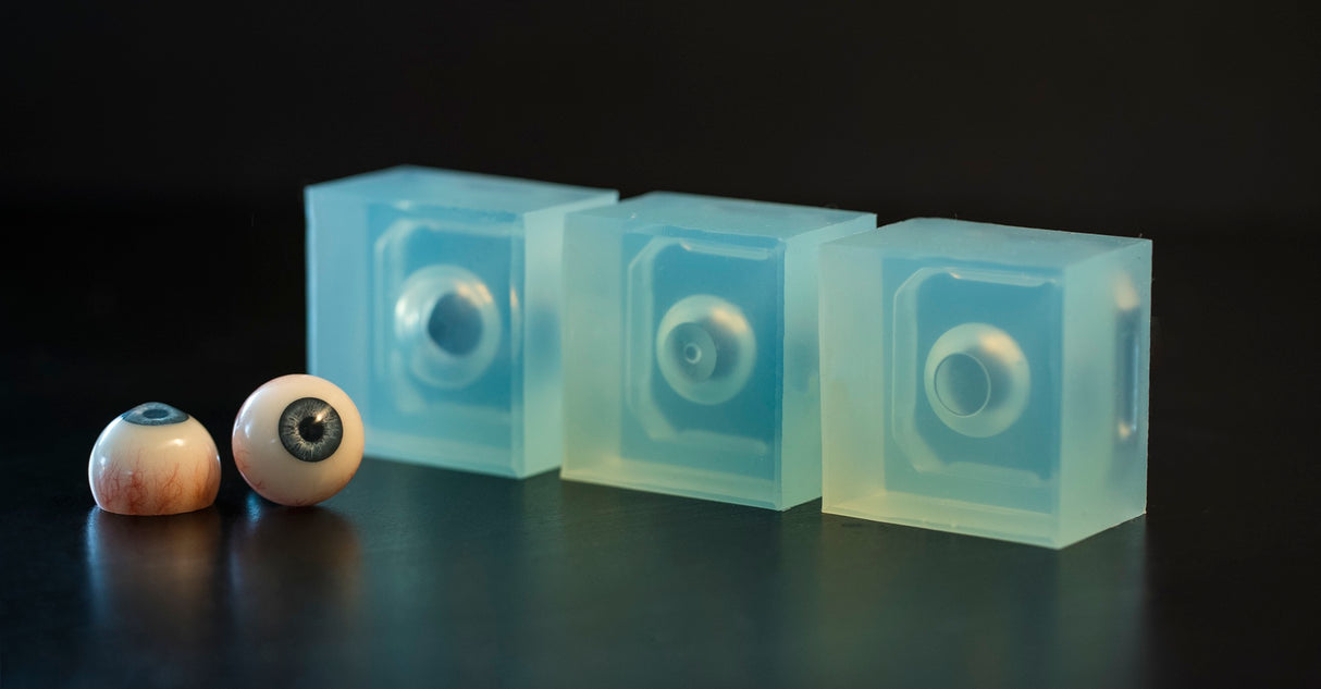 Human Eye Kit (7523982803202)