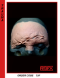 TJF - Foam Latex (7524081926402)
