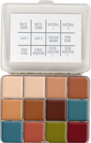 Skin Illustrator On Set Flesh Tone Palette (7523952558338)